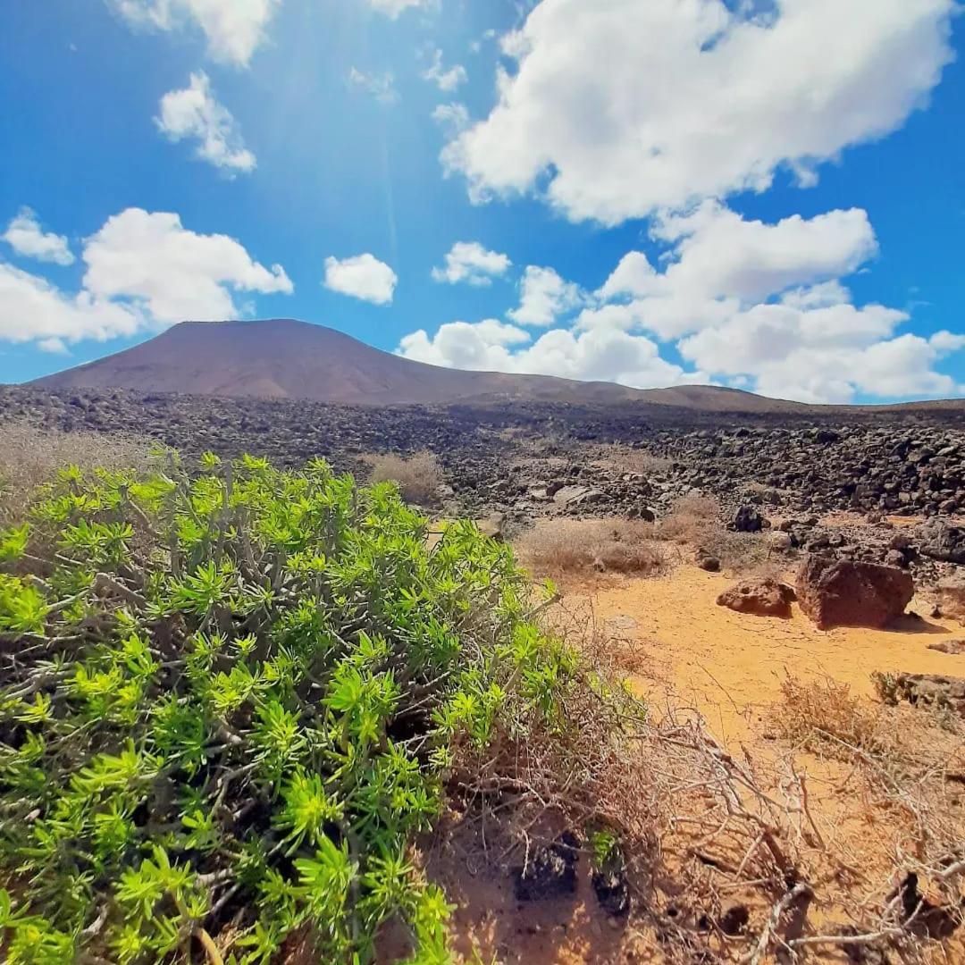 Casa Alma Corralejo Bristol Lägenhet Exteriör bild